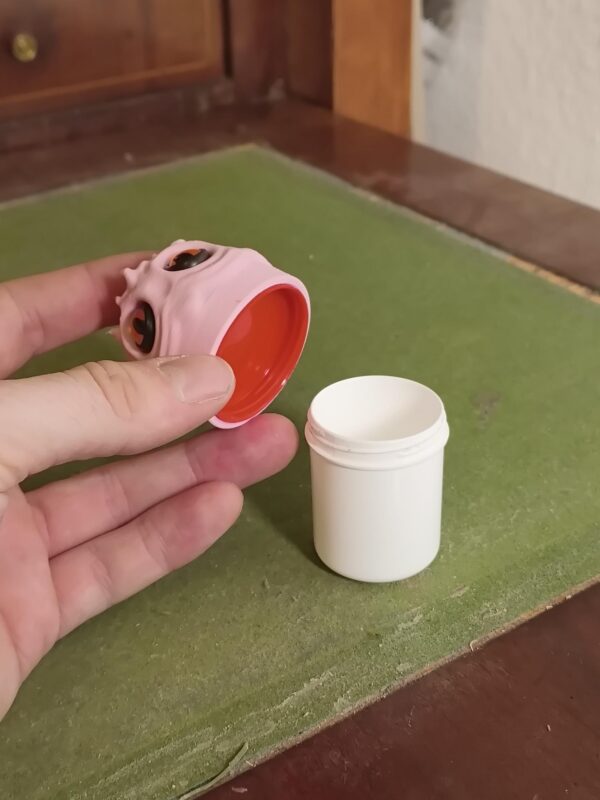 Coral Rosetta Apothekerdose (Rosa) – Bild 2